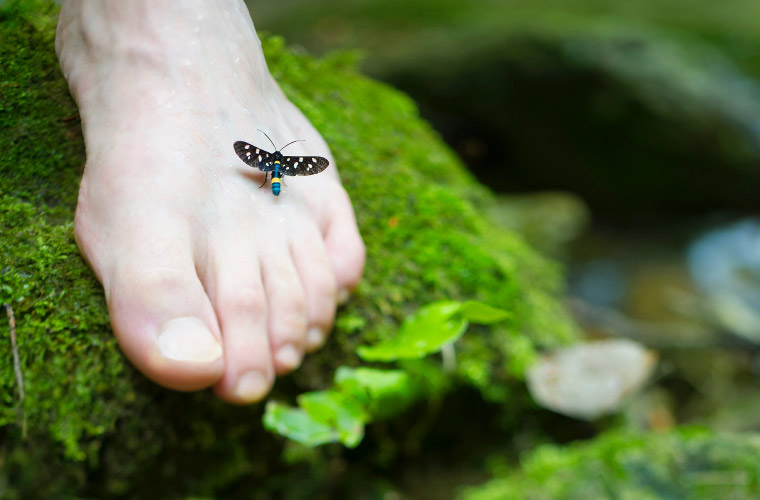 Hongos En Los Pies Que Es Sintomas Y Tratamiento Blog Fiatc