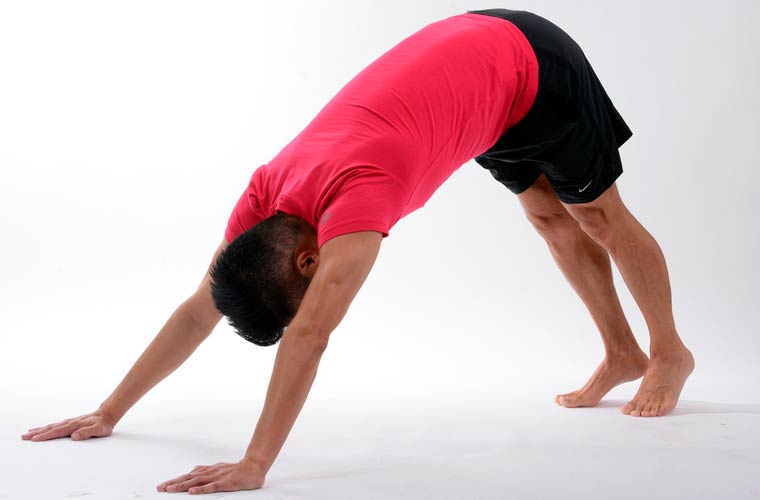 Fisioterapia Del Suelo Pelvico En Hombres suelo pelvico hombres